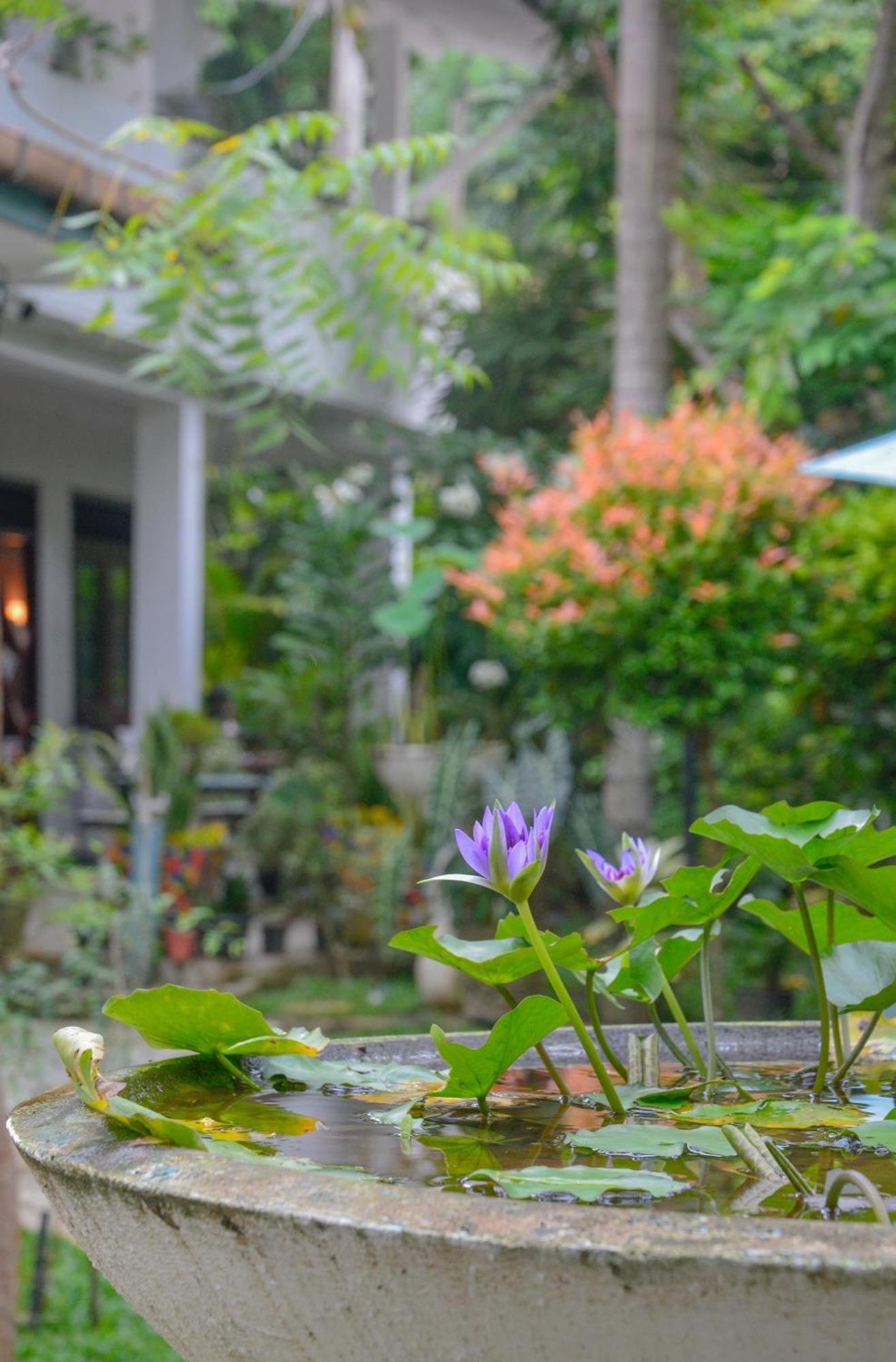 Palm Garden Guest House Galle Eksteriør billede