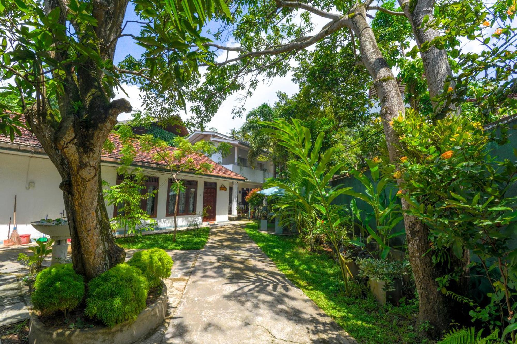 Palm Garden Guest House Galle Eksteriør billede