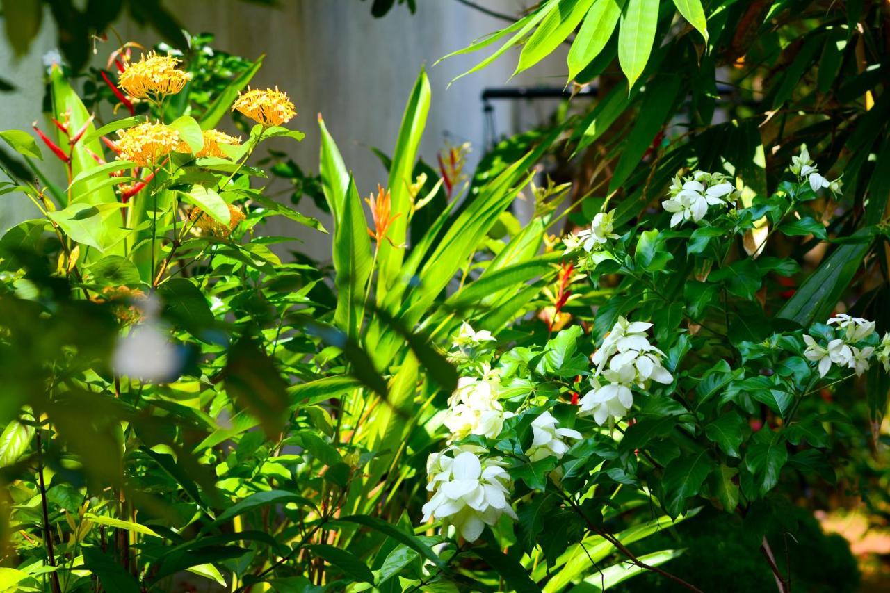 Palm Garden Guest House Galle Eksteriør billede